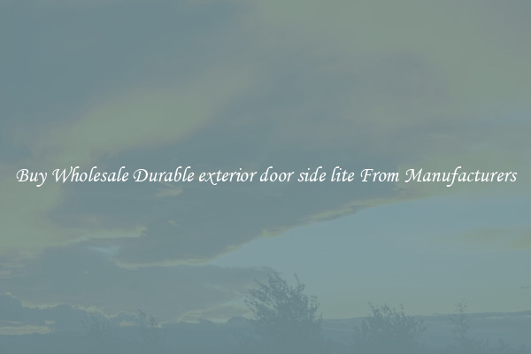 Buy Wholesale Durable exterior door side lite From Manufacturers