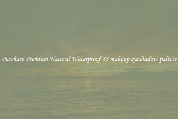Purchase Premium Natural Waterproof 88 makeup eyeshadow palette