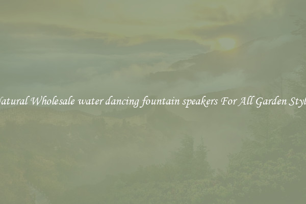 Natural Wholesale water dancing fountain speakers For All Garden Styles