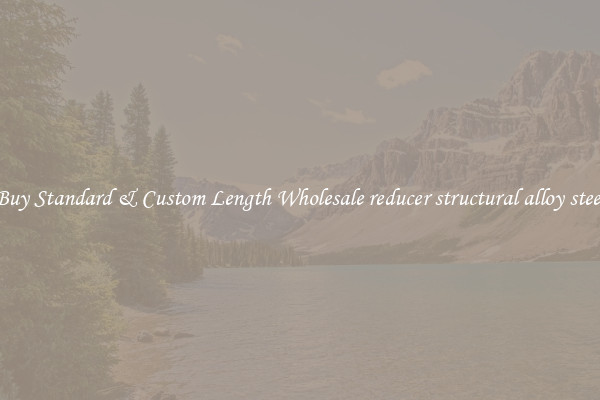 Buy Standard & Custom Length Wholesale reducer structural alloy steel