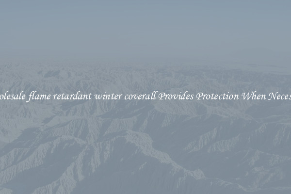 Wholesale flame retardant winter coverall Provides Protection When Necessary