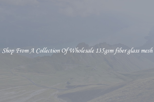Shop From A Collection Of Wholesale 135gsm fiber glass mesh