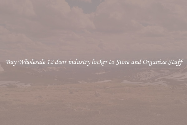Buy Wholesale 12 door industry locker to Store and Organize Stuff