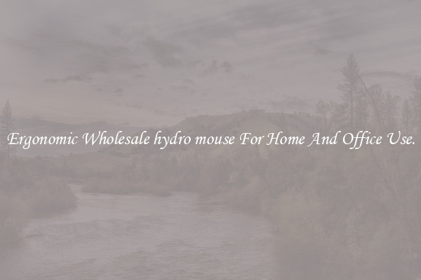Ergonomic Wholesale hydro mouse For Home And Office Use.