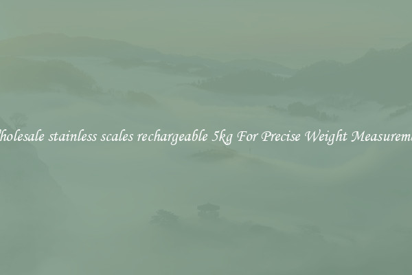 Wholesale stainless scales rechargeable 5kg For Precise Weight Measurement