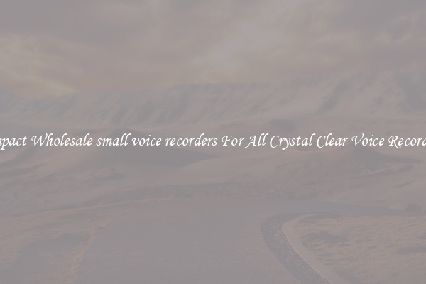 Compact Wholesale small voice recorders For All Crystal Clear Voice Recordings