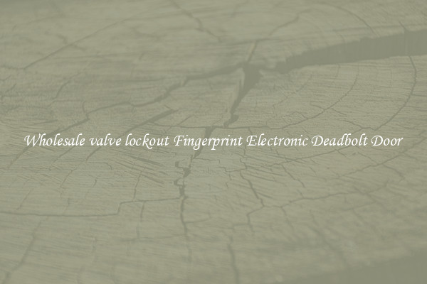 Wholesale valve lockout Fingerprint Electronic Deadbolt Door 