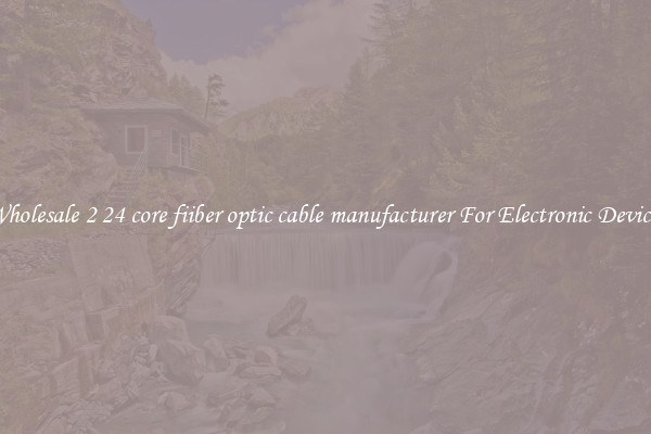 Wholesale 2 24 core fiiber optic cable manufacturer For Electronic Devices