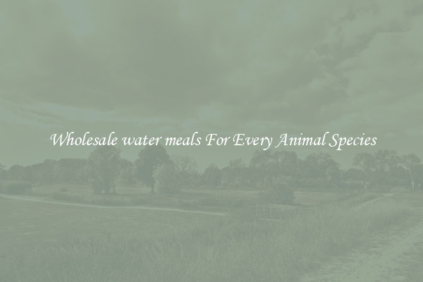 Wholesale water meals For Every Animal Species