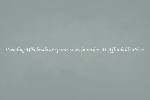 Trending Wholesale are pants sizes in inches At Affordable Prices