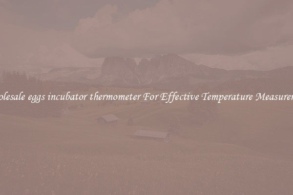 Wholesale eggs incubator thermometer For Effective Temperature Measurement