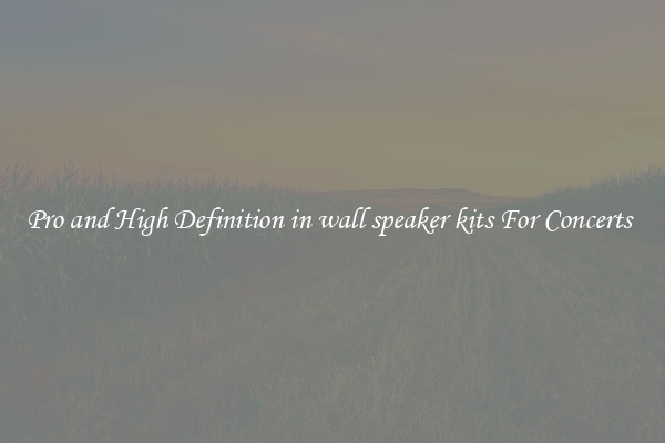 Pro and High Definition in wall speaker kits For Concerts 