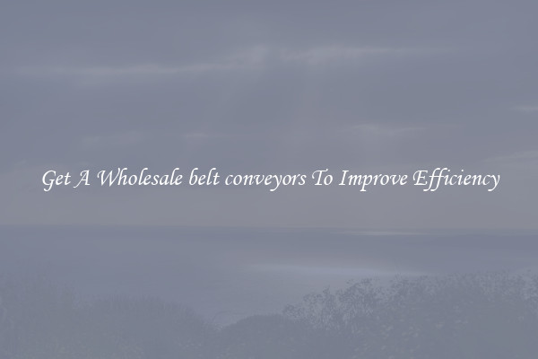 Get A Wholesale belt conveyors To Improve Efficiency