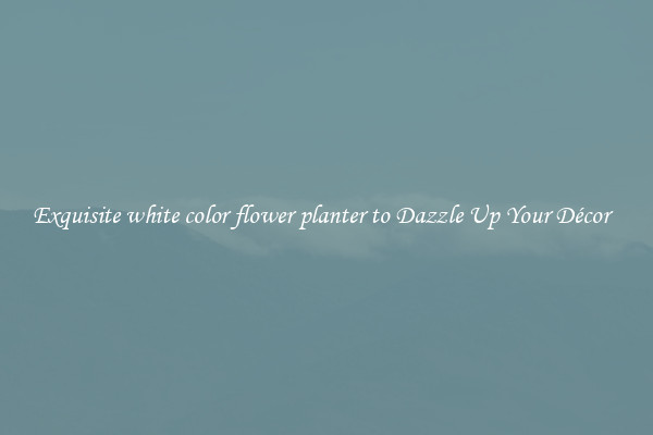 Exquisite white color flower planter to Dazzle Up Your Décor  
