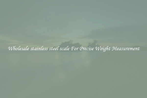 Wholesale stainless steel scale For Precise Weight Measurement