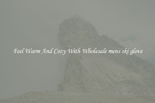 Feel Warm And Cozy With Wholesale mens ski glove
