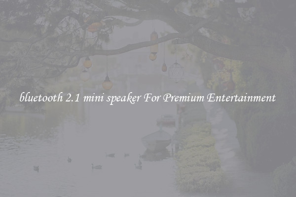 bluetooth 2.1 mini speaker For Premium Entertainment 
