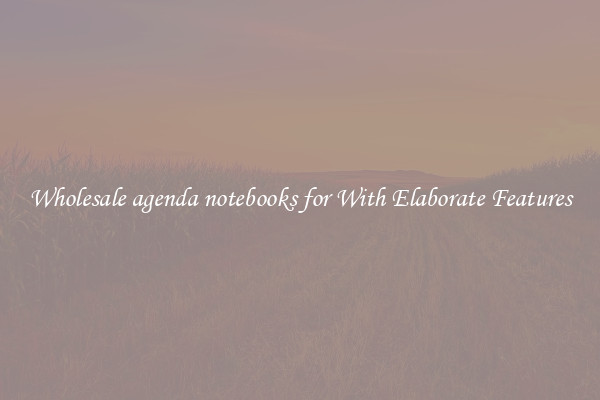 Wholesale agenda notebooks for With Elaborate Features
