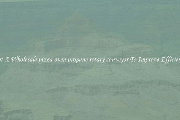 Get A Wholesale pizza oven propane rotary conveyor To Improve Efficiency
