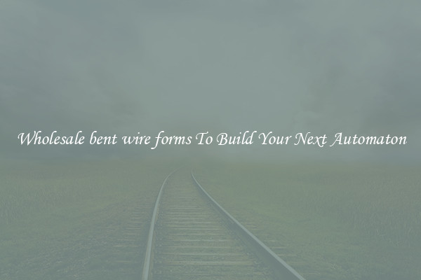 Wholesale bent wire forms To Build Your Next Automaton
